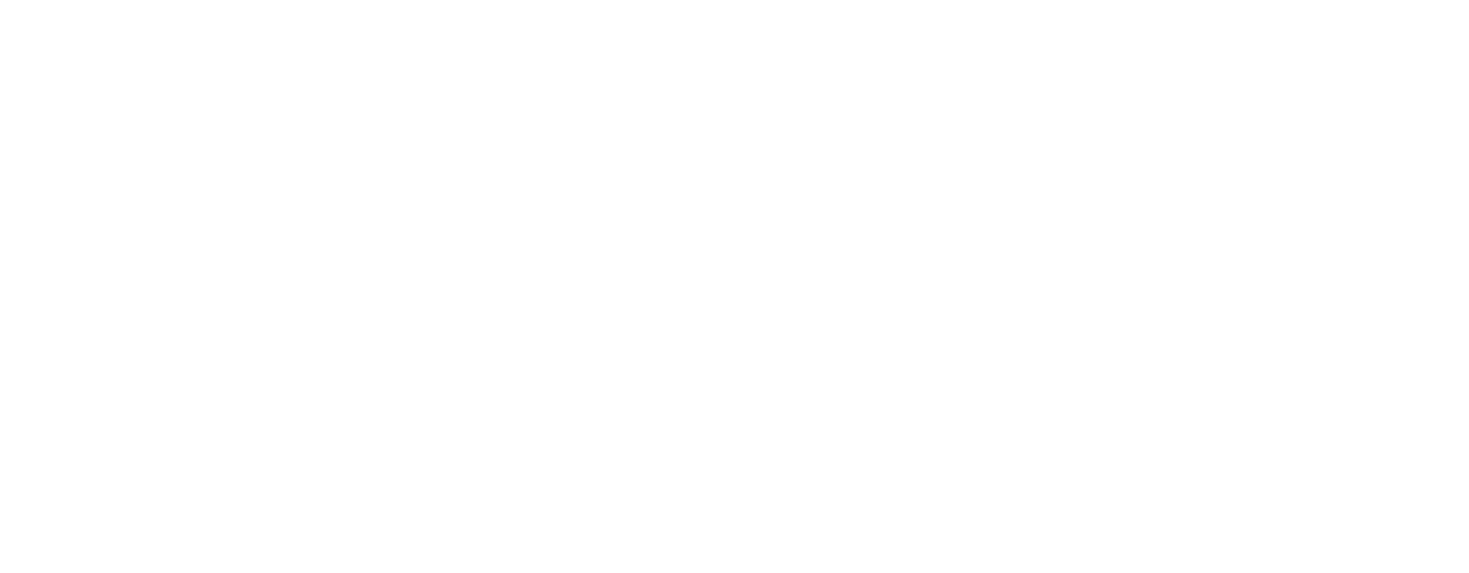 Editus Data Services